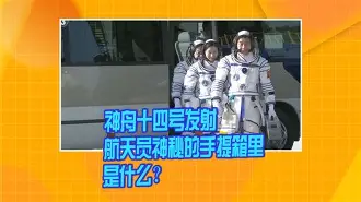 埃因霍温发布备战花絮；窗口期防线松动；社区盾任务艰巨；团队化学反应显著的简单介绍-竞技宝娱乐入口