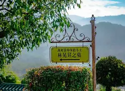 aav9是什么-竞技宝电竞网址