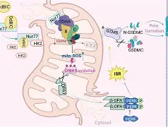 包含萔芔??mey:6?|?,U彊)靶浺+醤墔?M$I的词条-竞技宝体育网站